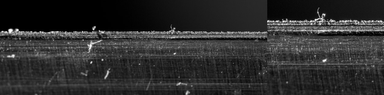 carbide grinder detail